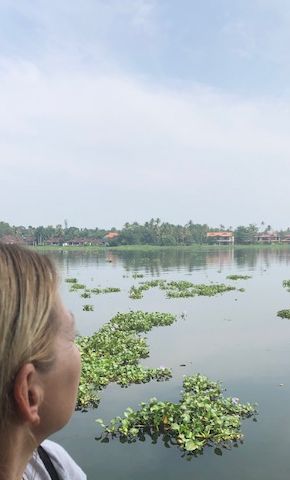 Südindien Backwaters